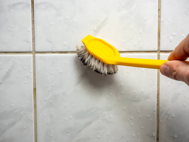 Best Mold Removal Company Near Me  in Granite City, IL